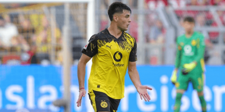 বিশেষজ্ঞ: চেলসিকে অ্যানসেলমিনোকে তাড়াতাড়ি ফিরিয়ে আনার পরামর্শ দেওয়া হয় না, তাকে ডর্টমুন্ডে ধৈর্যশীলভাবে উন্নতি করতে দিন