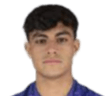 Christian Alexander Camarillo Adames