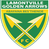 Lamontville Golden Arrows Reserves Lamontville Golden Arrows Reserves