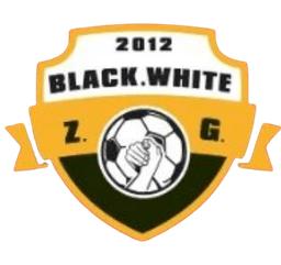 ज़िगोंग फुटबॉल एसोसिएशन टीम