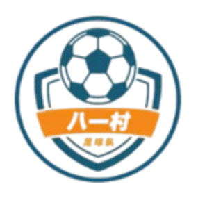 Shanghai Jinshanwei Bayi Village Football Team